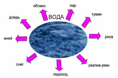 О каком свойстве воды говорят ребята