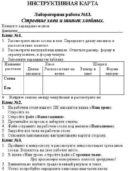 Строение хвои и шишек хвойных лабораторная работа