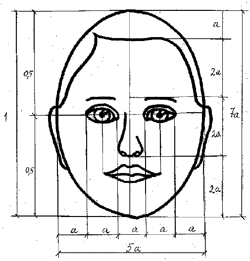 Как нарисовать лицо девушки, мужчины, девочки или мальчика
