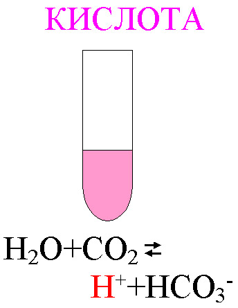 Угольная кислота цвет. Строение угольной кислоты. Строение молекулы угольной кислоты. Структурная формула угольной кислоты. Угольная кислота формула.