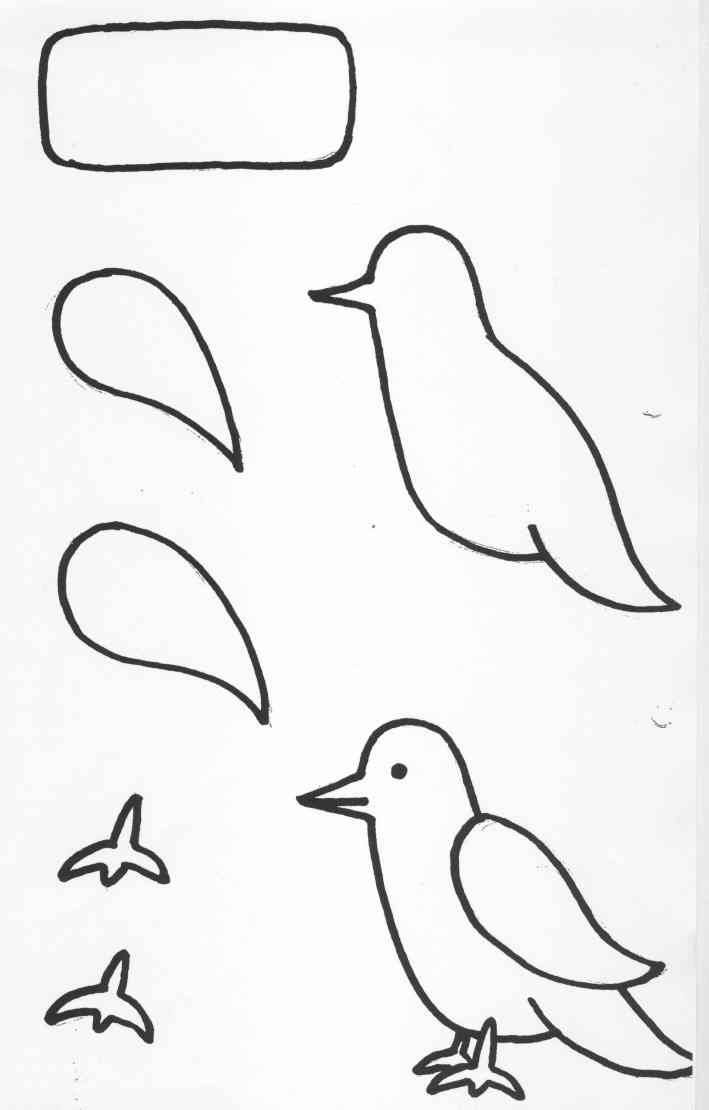 Аппликация птичка конспект. Рисование птиц с детьми средней группы. Рисование птички в средней группе. Рисование перелетные птицы старшая группа. Рисование перелетные птицы средняя группа.