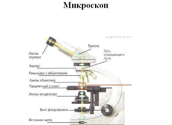 Функция револьвера в микроскопе. Строение микроскопа Биомед 2. Световой микроскоп Биолам строение. Микроскоп механическая часть оптическая часть. Строение микроскопа колонка.