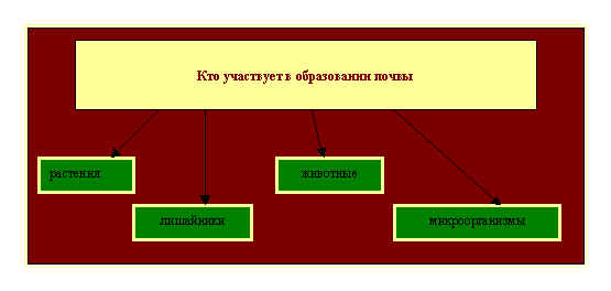 Вы точно человек?