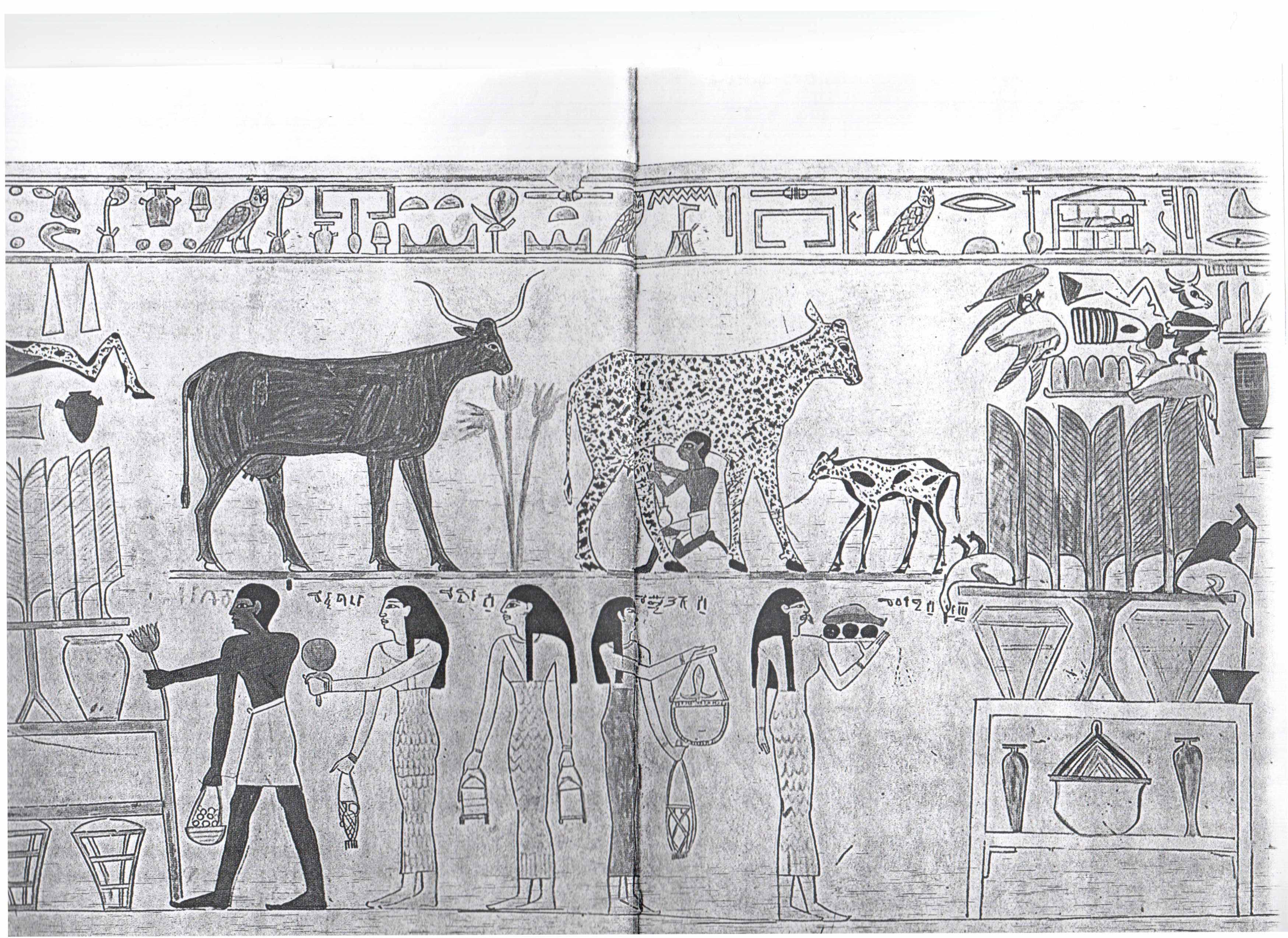 Наскальные рисунки в египте