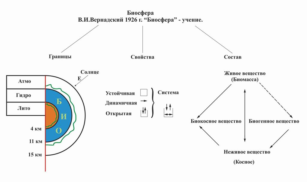 Конспект биосфера оболочка жизни. Биосфера Вернадский схема. Структура биосферы Вернадский. Схема учения Вернадского. Структура биосферы схема.