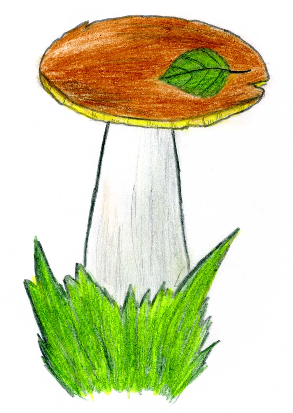 Рисунок гриба 5 класс. Гриб рисунок. Рисование грибы. Гриб рисунок для детей. Нарисовать гриб.