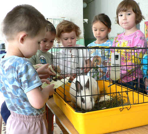 Детский сад для зверей. Живой уголок. Живой уголок в ДОУ. Наблюдение за животными в ДОУ. Дети в живом уголке в детском саду.