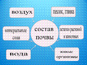 Образование минеральных солей в почве расставь стрелки