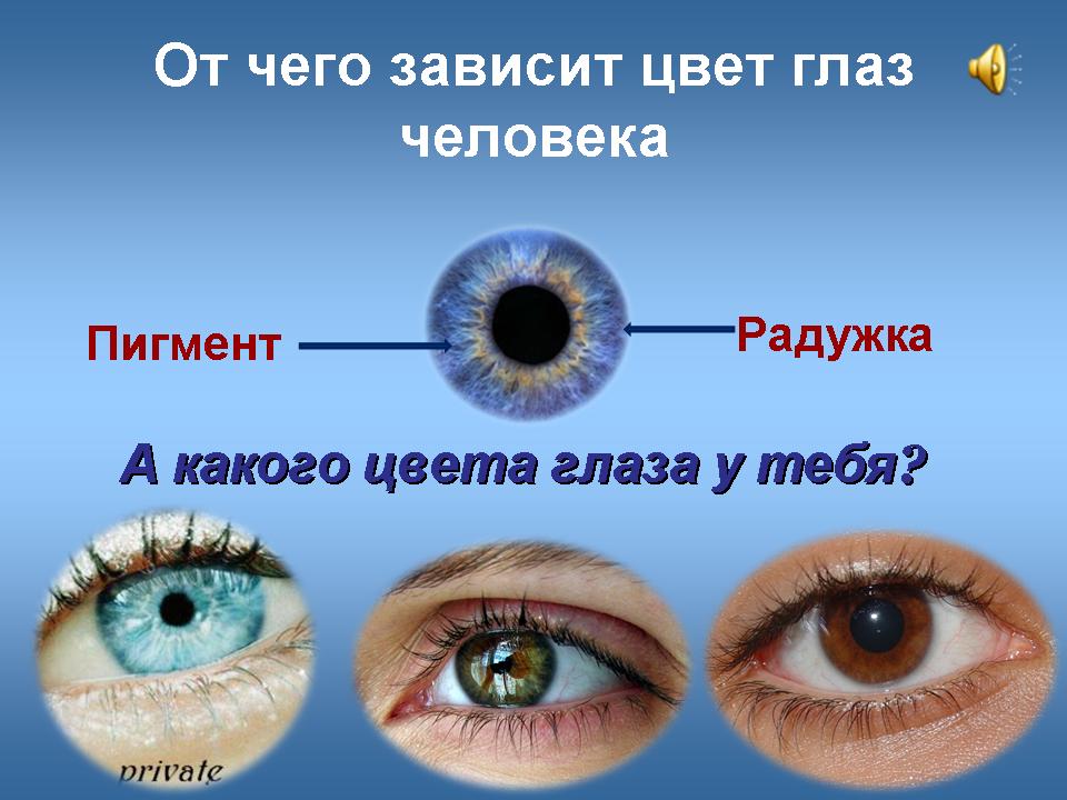 Цвет глаза зависит от пигмента. От чего зависит цвет глаз. Цвет глаз зависит от. От чего зависит цвет глаз у человека. Цвет глаз человека зависит от.