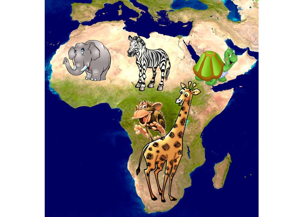 Окружающий мир путешествия старшая группа. Места обитания животных. Путешествие по Африке для дошкольников. Путешествие в Африку рисование. Животные разных континентов.