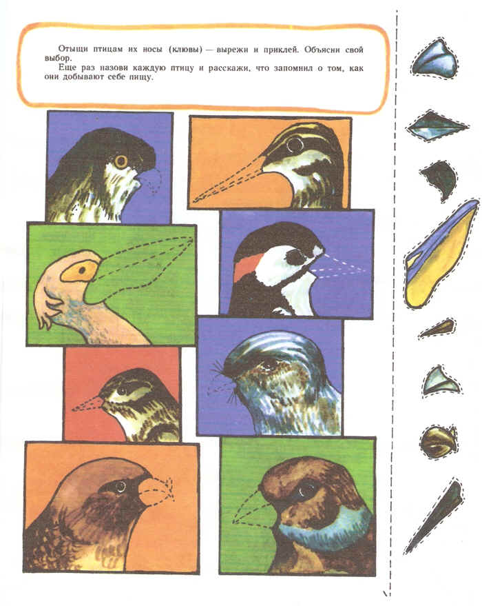 Какому жанру относится изображение птиц животных. Орнитолог конспект старшая группа. Орнитолог человек схема макета.
