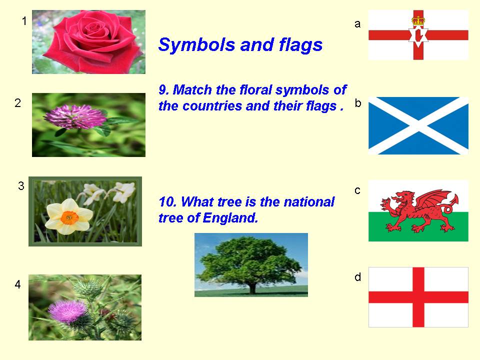 Uk rising. Символы Англии Шотландии Уэльса и Ирландии. Национальные символы Англии Шотландии Уэльса и Северной Ирландии. Цветы Британии символы. Цветы символы Великобритании.