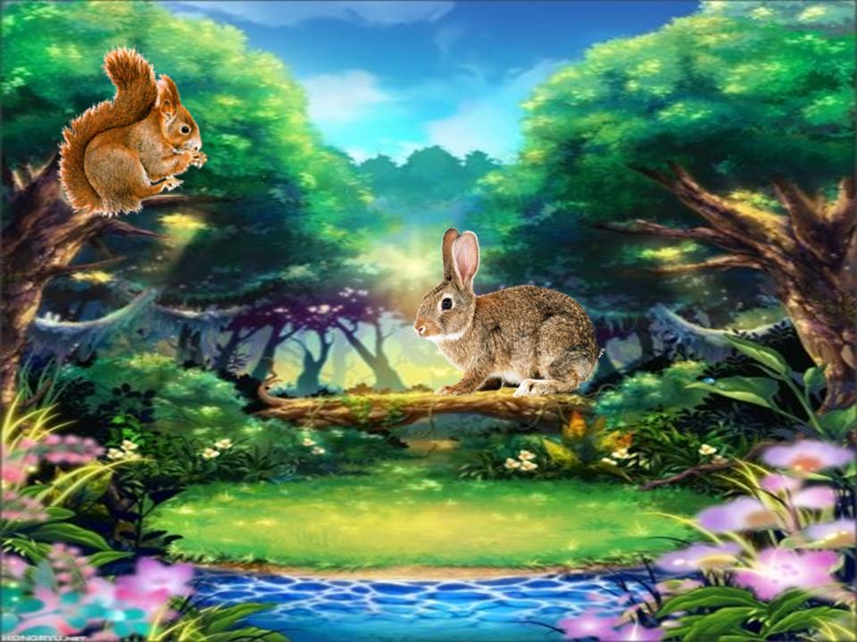 Белки зайки. Сказочный заяц в лесу. Белочка в волшебном лесу. Лес с белками и зайцами. Белка Сказочная.