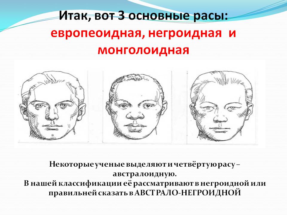 Выделяют основные расы. Типы строения лица людей. Европеоидная раса рисунок. Форма лица негроидной европеоидной. Европеоидно-монголоидный Тип.