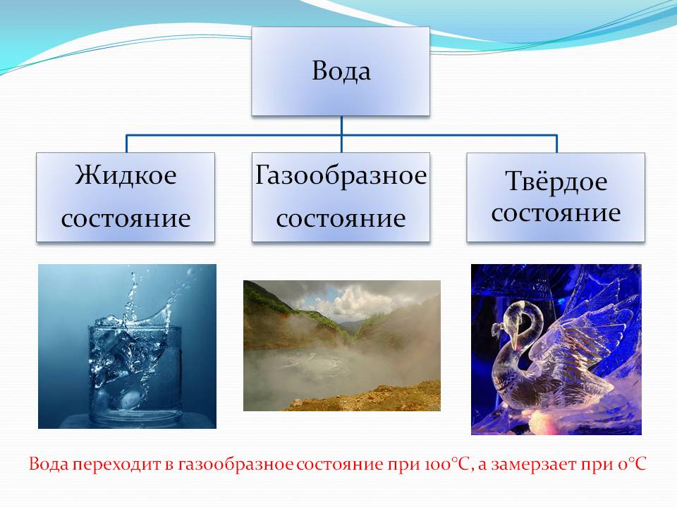 Вода значение 5 класс. Вода и ее роль в природе. Вода в природе и жизни человека. Характеристика вода в природе. Вода биология.