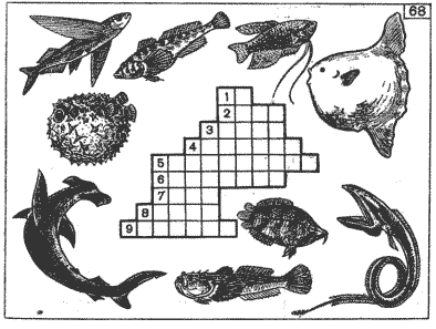 Биология проверочная работа по теме рыбы