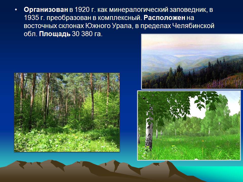 Реферат: Проблемы экологии на Урале
