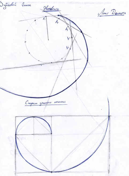 Плоская кривая кратчайшего спуска. Замечательные кривые в математике. Замечательные кривые картинки. Самые необычные замечательные кривые. Циклоида.