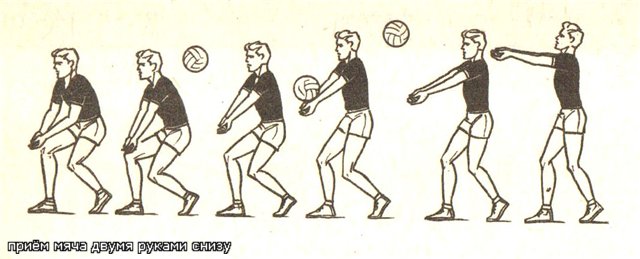 Изучение основных приемов и передач мяча в волейболе