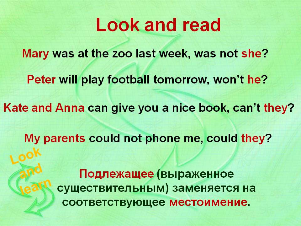 Last month предложения. Was dina at the Zoo last month ответы на вопросы по английскому. Was your friend at the Zoo last week. Предложения с tag question Mary is a busy. She was at the.