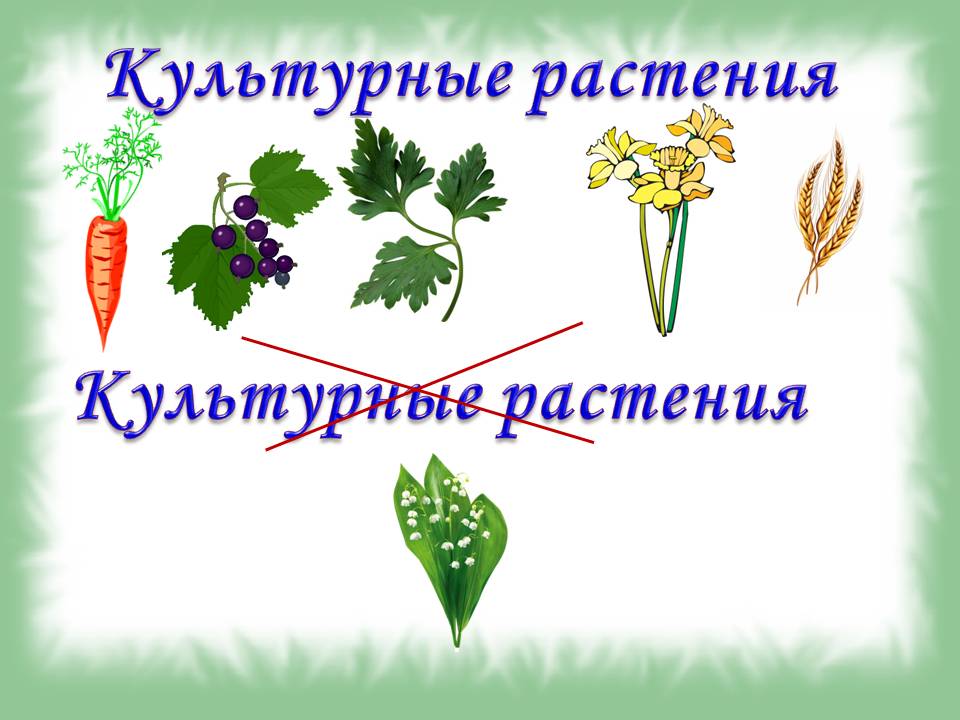 Справочник культурных растений