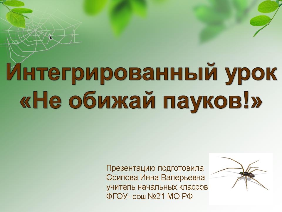 Интегрированный урок (окружающий мир + русский язык + труд) по теме "Не  обижай пауков!" 3-й класс
