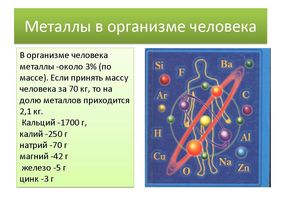 Химические элементы в организме человека 7 класс