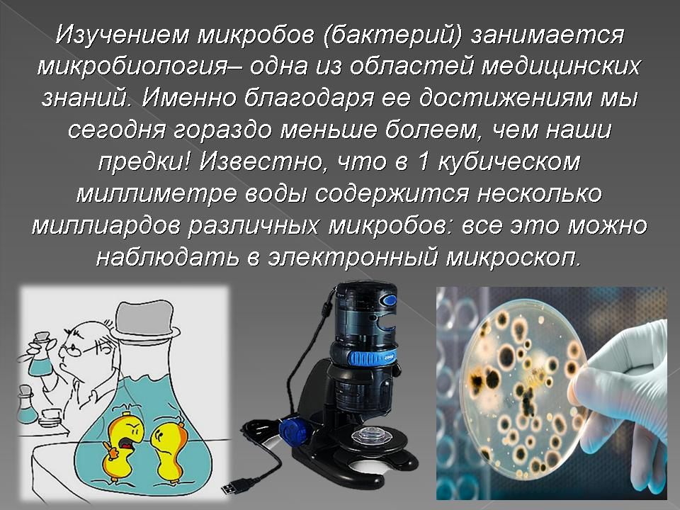 Микробиолог больше не болеет. Бактерии презентация. Презентация по микробиологии. Презентация на тему микробы. Изучение микроорганизмов.