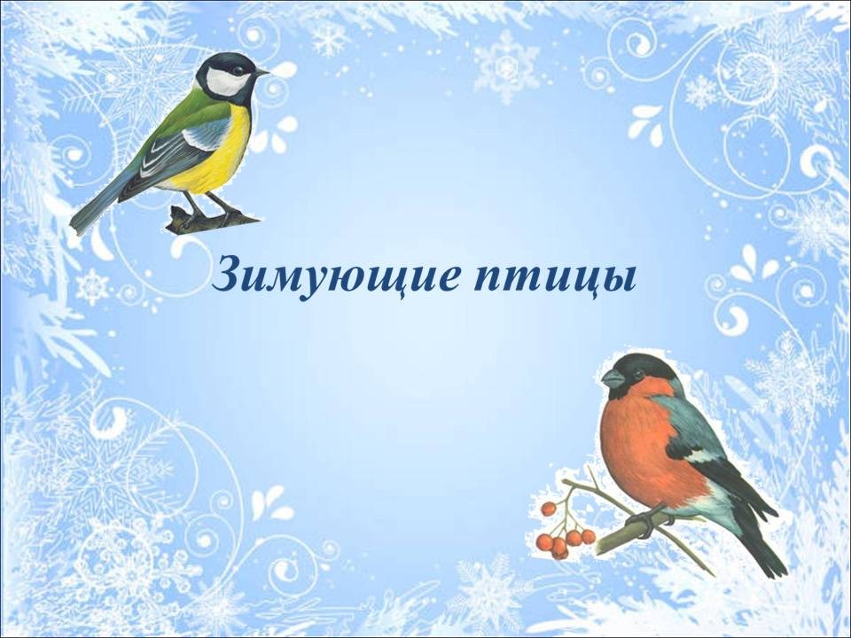 Внеклассное мероприятие «Зимующие птицы»