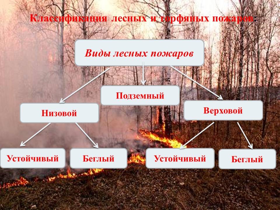Понятие лесных и торфяных пожаров. Классификация пожаров». 7-й класс