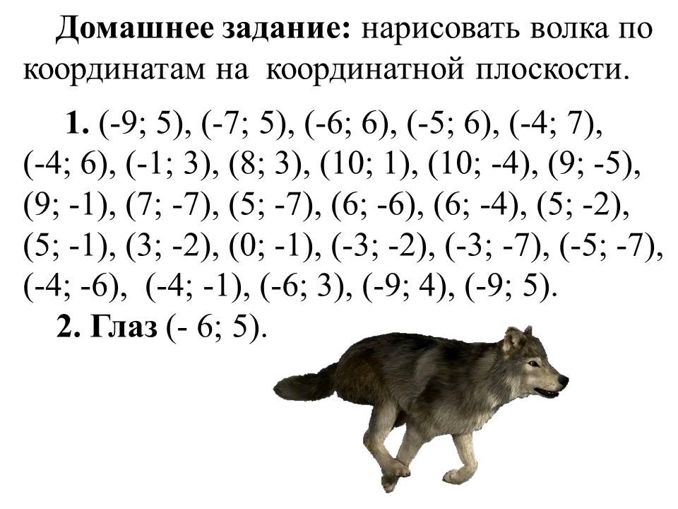 Конспект урока по внеурочной деятельности. Тема урока: Европейский серый  волк. 7-й класс