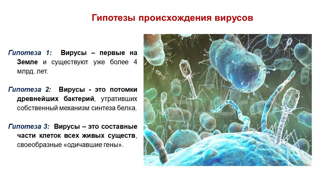 Вирусы 5 класс биология. Гипотеза коэволюции вирусов. Сочинение про вирус биология 5 класс.