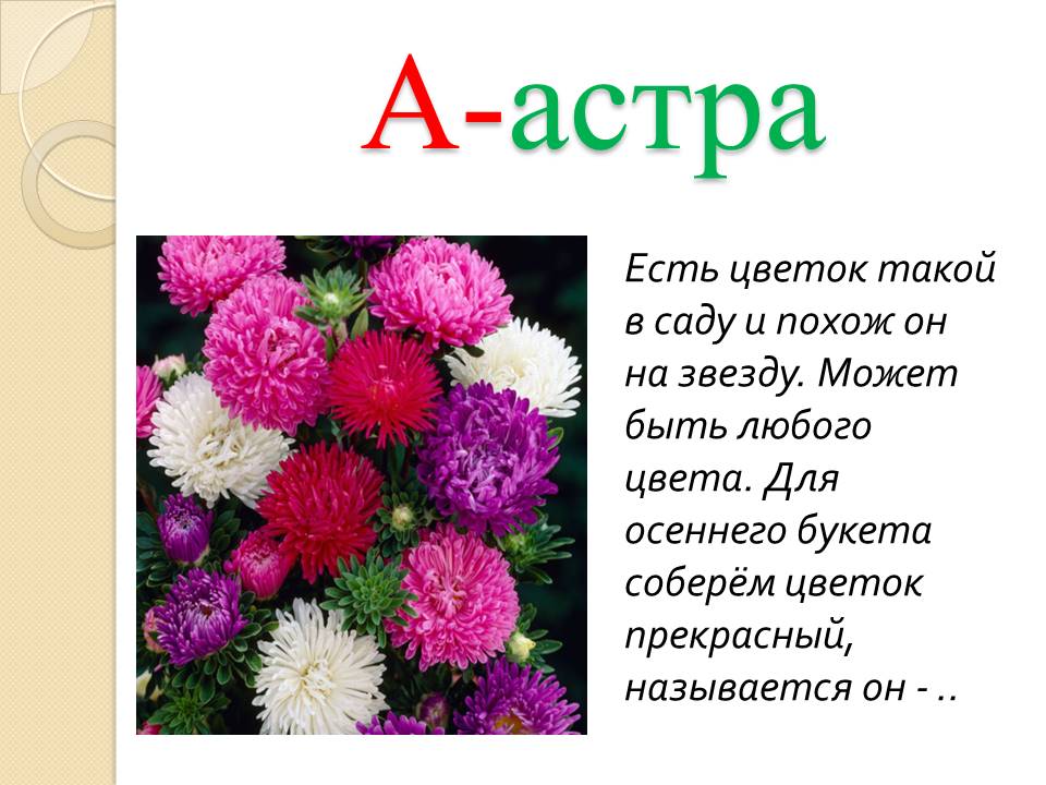 Названия цветов на букву а с фото