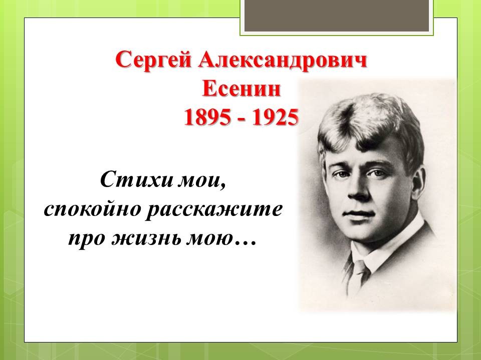Я покинул родимый дом основная мысль стихотворения. Сергея Александровича Есенина (1895–1925)..