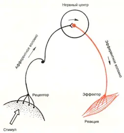 img6.gif (18551 bytes)