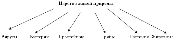 img1.gif (2818 bytes)