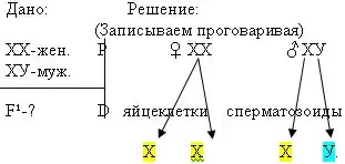 рис.2