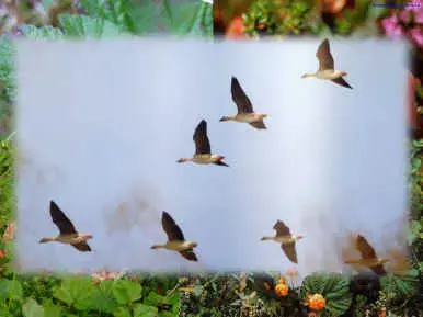 02.jpg (12586 bytes)