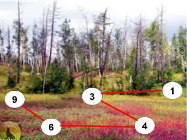 03.JPG (16714 bytes)