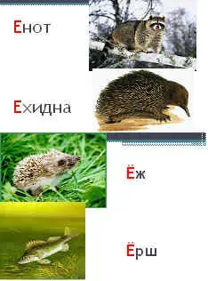 img3.jpg (11288 bytes)