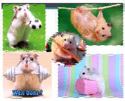 img9.jpg (10427 bytes)