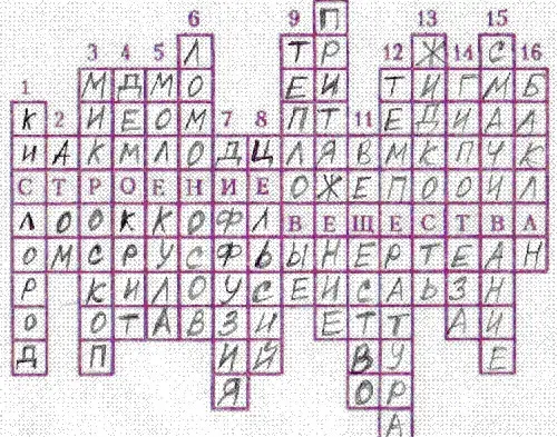 img3.jpg (109920 bytes)