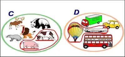 img8.JPG (14730 bytes)