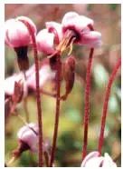 img4.jpg (8659 bytes)