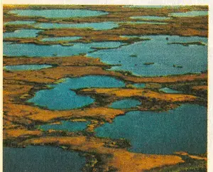 img1.gif (67495 bytes)