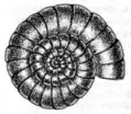 img10.jpg (6578 bytes)