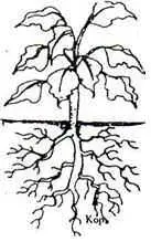 image2.JPG (7174 bytes)