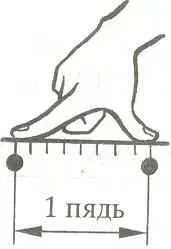 img3.jpg (39872 bytes)