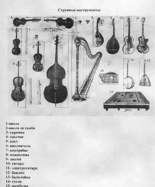 Cтрунно-смычковые инструменты