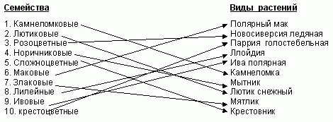 Растительный мир тундры